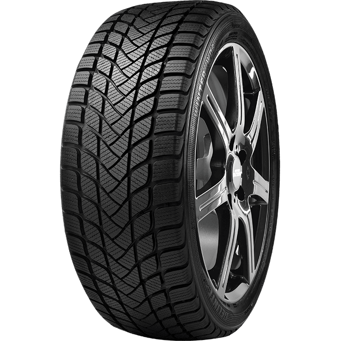 DELINTE 205/55R17 95H WINTER WD6 NC - 205/55R17