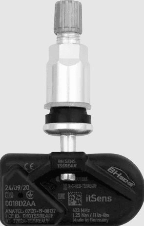 TPMS itSens 5 Förprogrammerad (Clamp-in) Silver