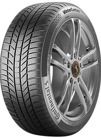 205/55R17 95H XL TS870P MO