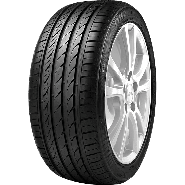 DELINTE 205/45R16 87W DH2 - 205/45R16